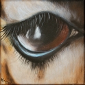 Augenblick einer Giraffe; Acryl auf Leinwand;
30 x 30 cm